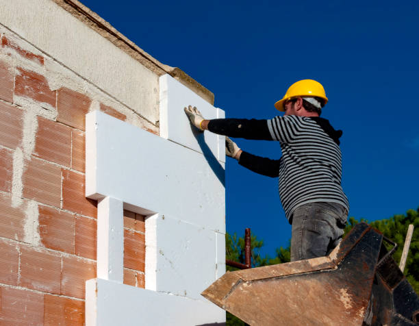 Best Insulation Contractors for Homes  in Cortland, IL
