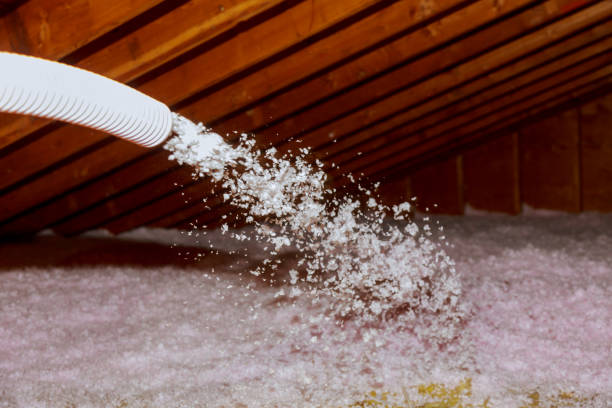 Best Home Insulation Services  in Cortland, IL