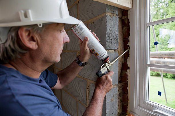 Best Insulation Replacement Services  in Cortland, IL
